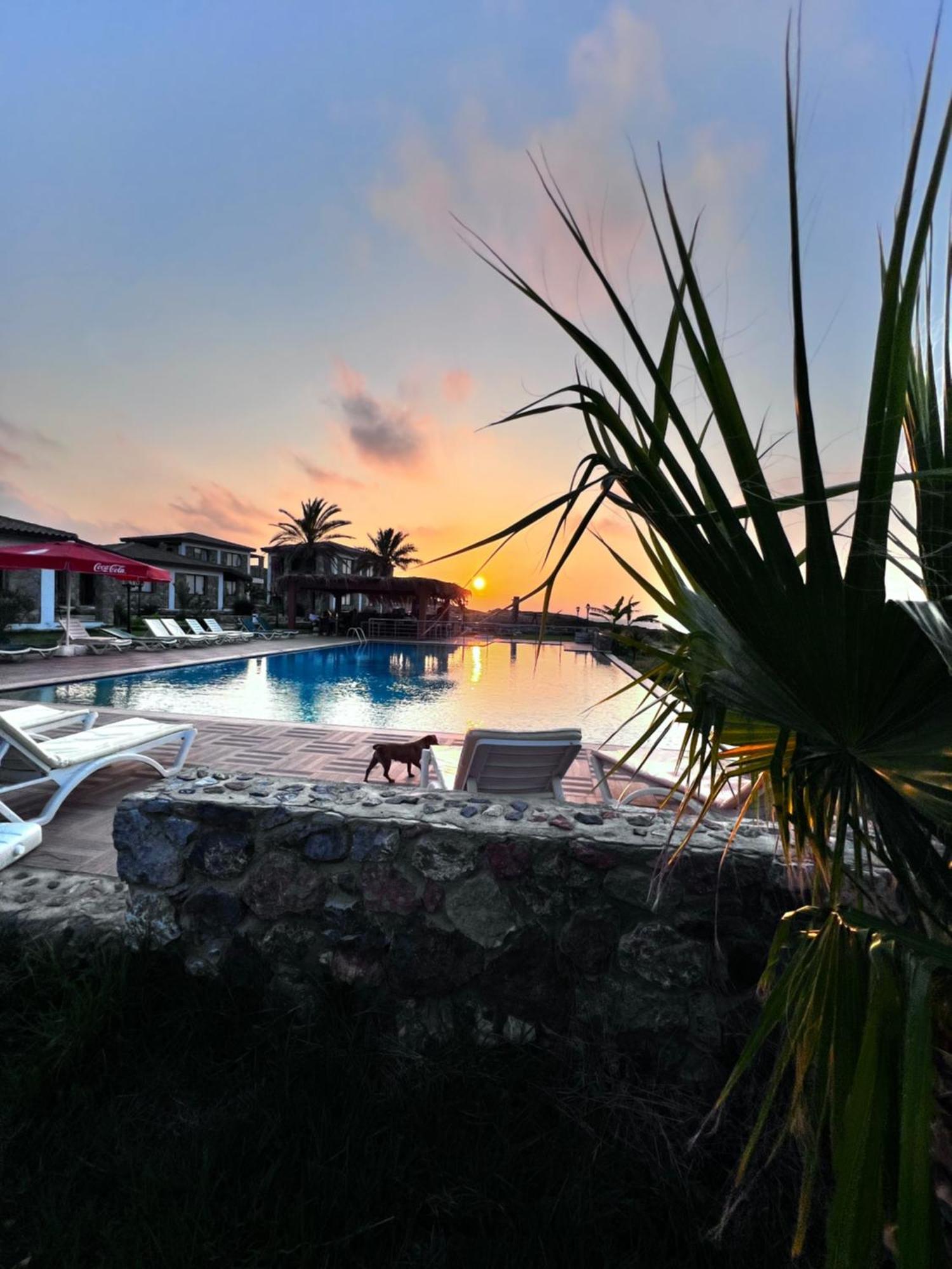 Ardic Agaci Holiday Village Famagusta  Exterior foto